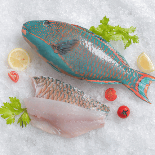Parrotfish.jpg