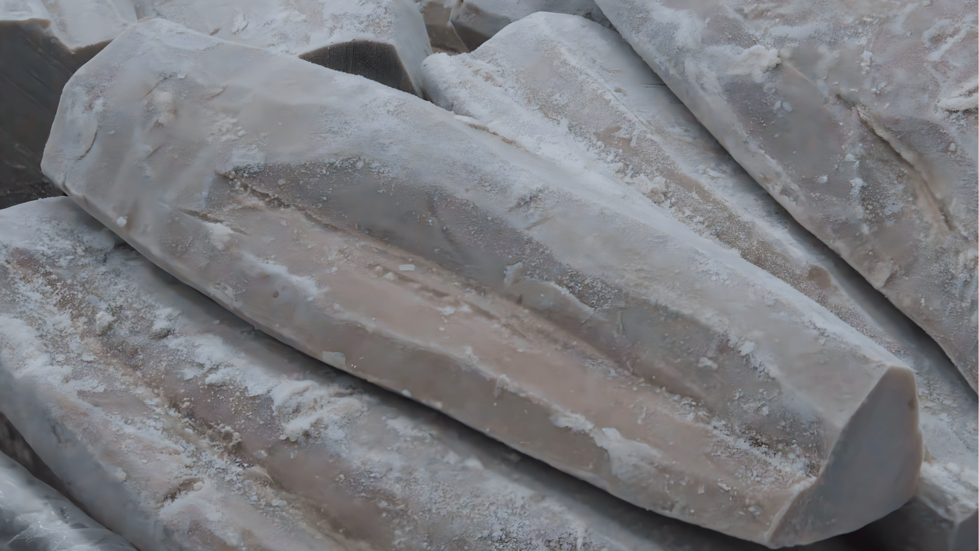 Seafood Processing 2