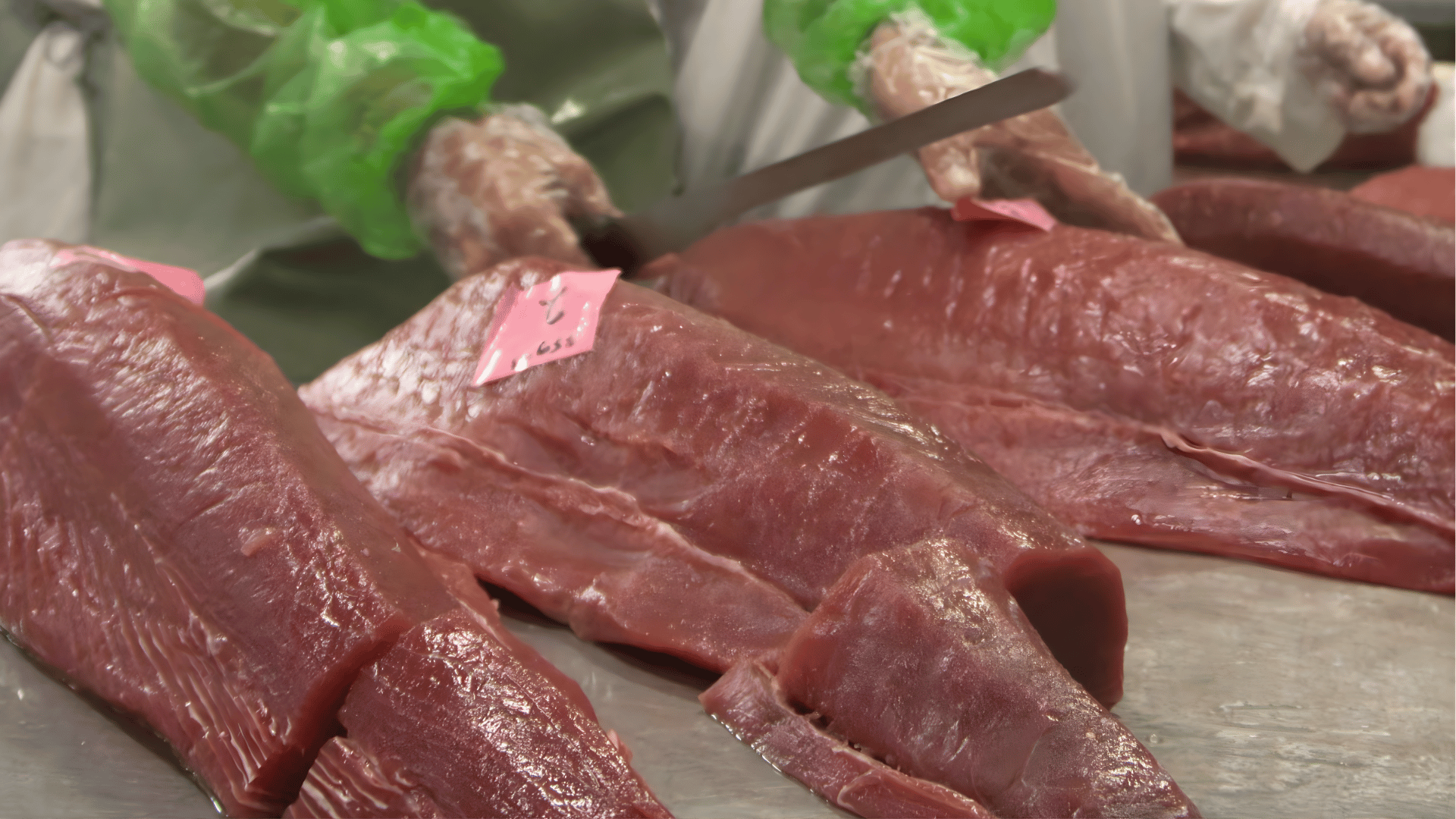 Seafood Processing 3